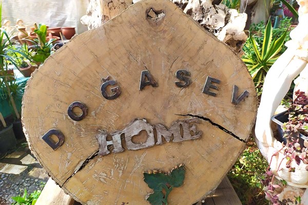 dogasev sera aydin 14